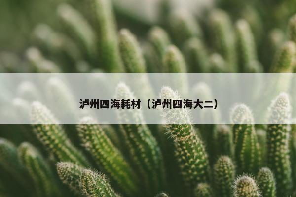 泸州四海耗材（泸州四海大二）