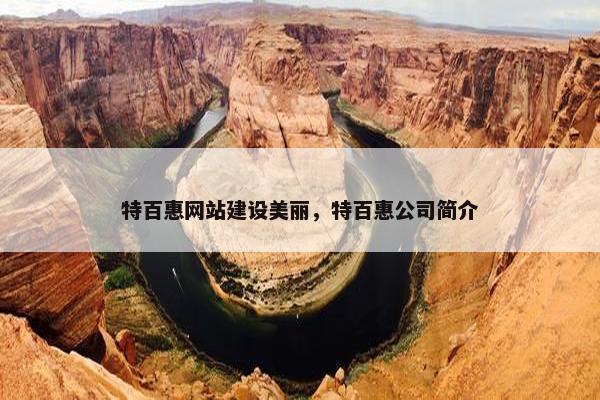 特百惠网站建设美丽，特百惠公司简介
