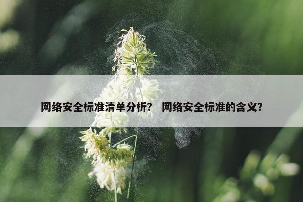网络安全标准清单分析？ 网络安全标准的含义？