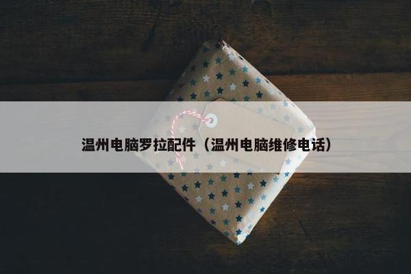 温州电脑罗拉配件（温州电脑维修电话）