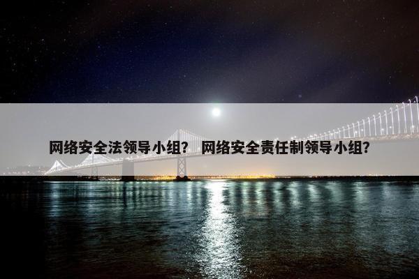 网络安全法领导小组？ 网络安全责任制领导小组？