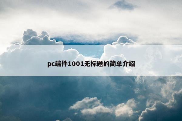 pc端件1001无标题的简单介绍