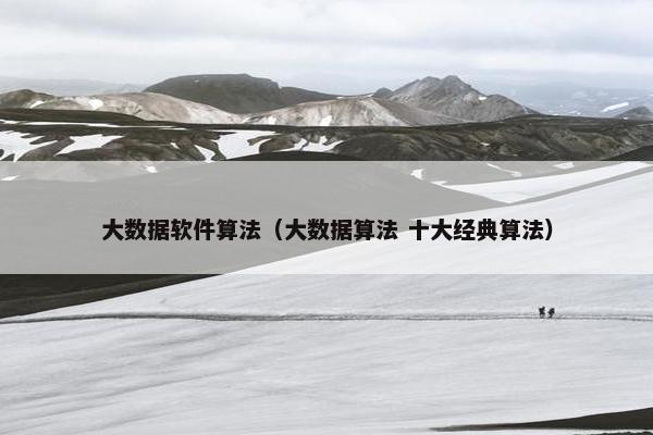 大数据软件算法（大数据算法 十大经典算法）