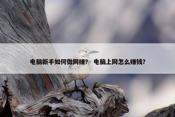 电脑新手如何做网赚？ 电脑上网怎么赚钱？