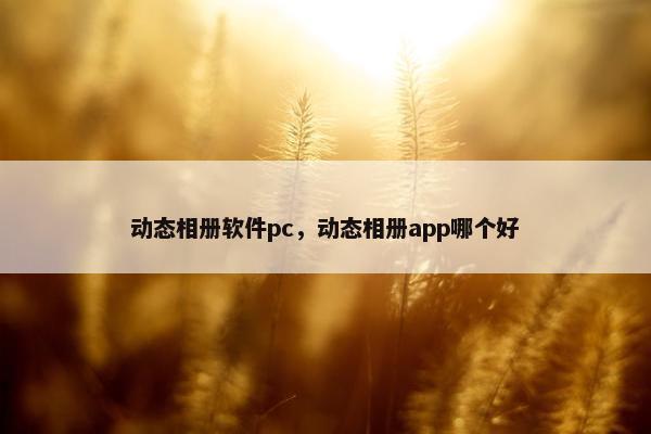 动态相册软件pc，动态相册app哪个好