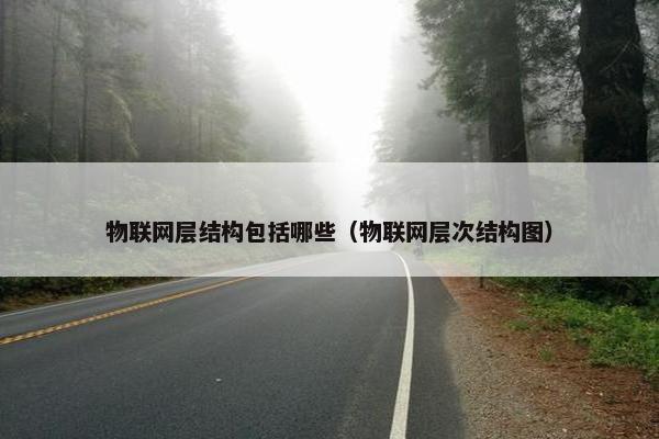 物联网层结构包括哪些（物联网层次结构图）