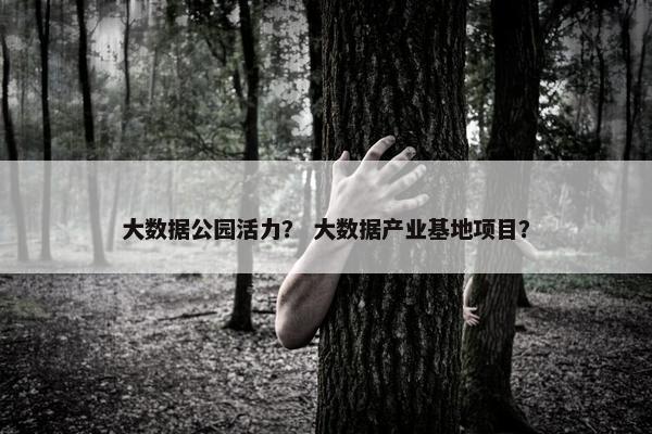 大数据公园活力？ 大数据产业基地项目？