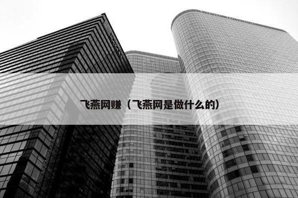 飞燕网赚（飞燕网是做什么的）