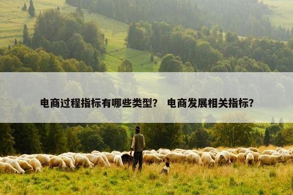 电商过程指标有哪些类型？ 电商发展相关指标？