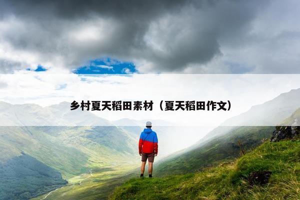 乡村夏天稻田素材（夏天稻田作文）