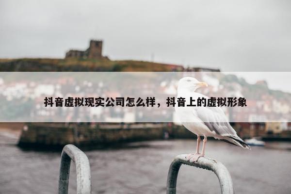 抖音虚拟现实公司怎么样，抖音上的虚拟形象