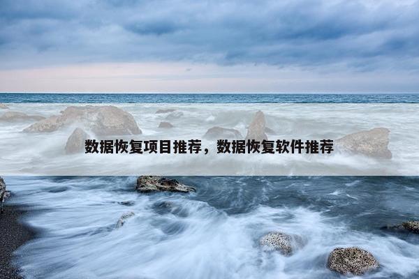 数据恢复项目推荐，数据恢复软件推荐