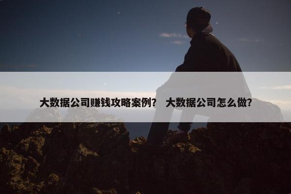 大数据公司赚钱攻略案例？ 大数据公司怎么做？