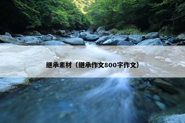 继承素材（继承作文800字作文）