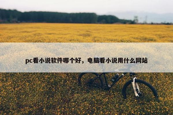pc看小说软件哪个好，电脑看小说用什么网站