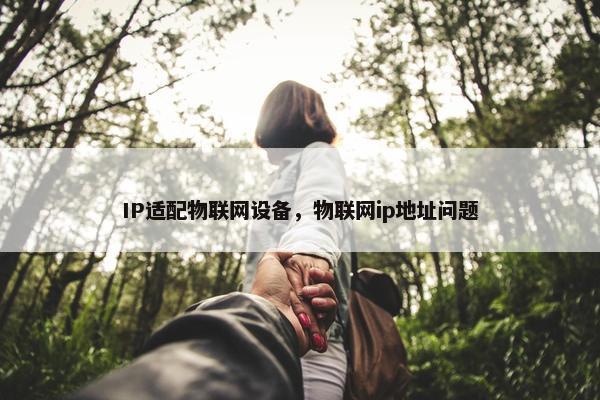 IP适配物联网设备，物联网ip地址问题