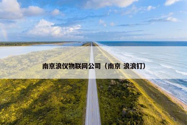 南京浪仪物联网公司（南京 浪浪钉）