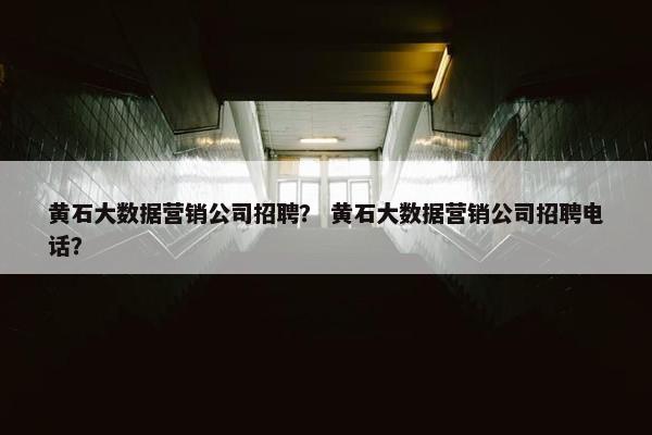 黄石大数据营销公司招聘？ 黄石大数据营销公司招聘电话？
