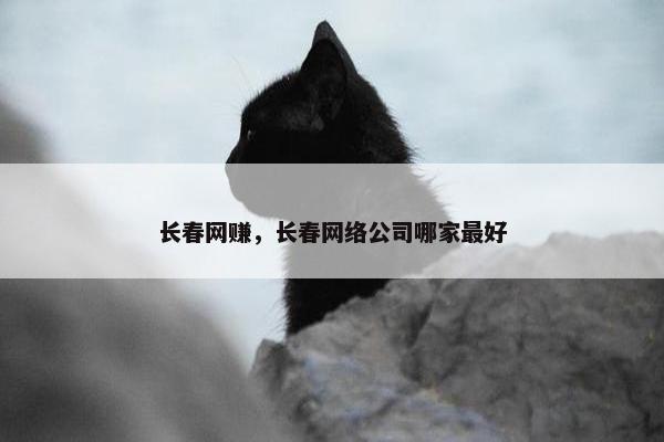 长春网赚，长春网络公司哪家最好