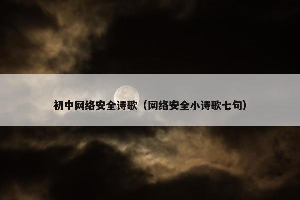 初中网络安全诗歌（网络安全小诗歌七句）