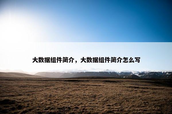 大数据组件简介，大数据组件简介怎么写