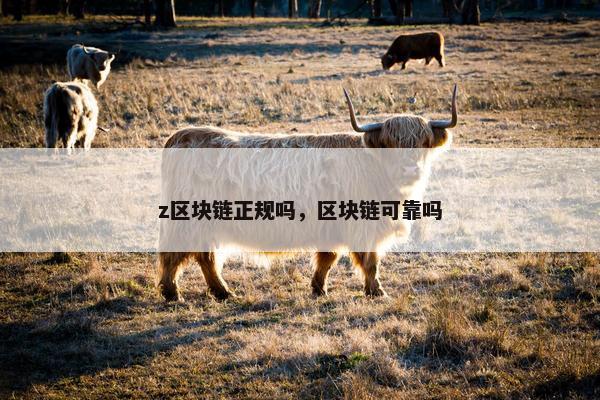 z区块链正规吗，区块链可靠吗