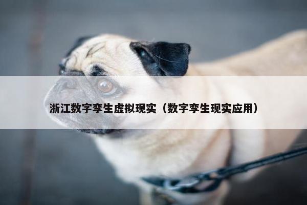 浙江数字孪生虚拟现实（数字孪生现实应用）