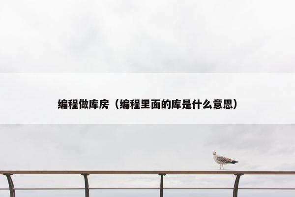 编程做库房（编程里面的库是什么意思）