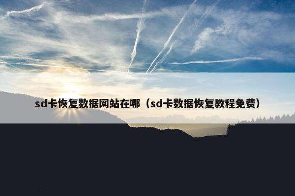 sd卡恢复数据网站在哪（sd卡数据恢复教程免费）