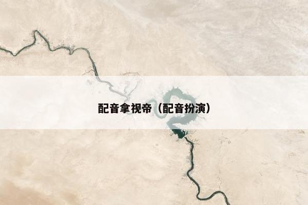 配音拿视帝（配音扮演）