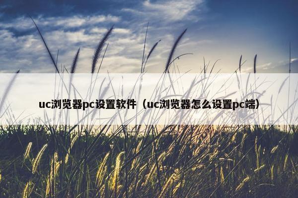 uc浏览器pc设置软件（uc浏览器怎么设置pc端）