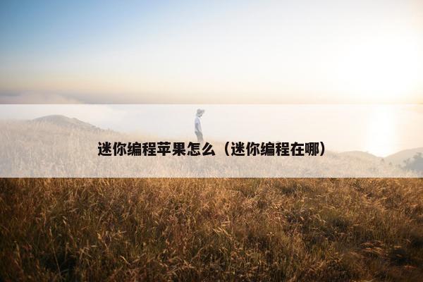 迷你编程苹果怎么（迷你编程在哪）