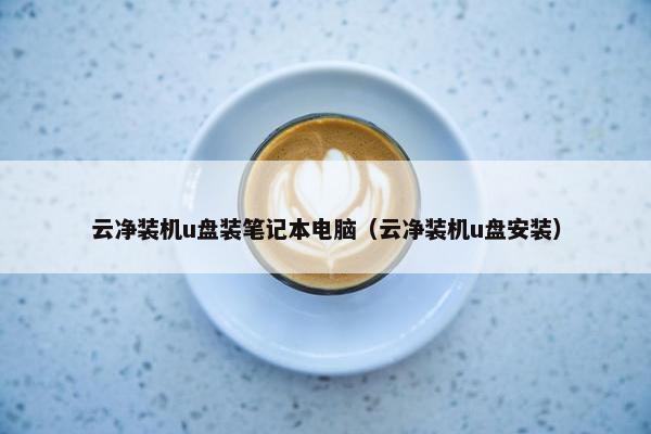 云净装机u盘装笔记本电脑（云净装机u盘安装）