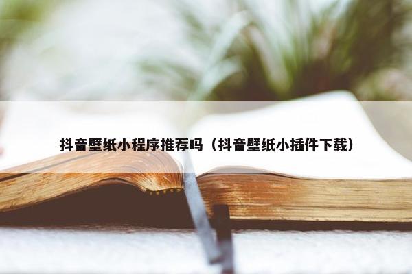 抖音壁纸小程序推荐吗（抖音壁纸小插件下载）