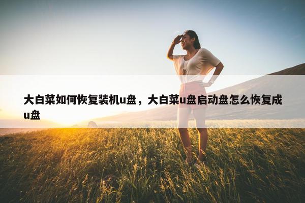 大白菜如何恢复装机u盘，大白菜u盘启动盘怎么恢复成u盘
