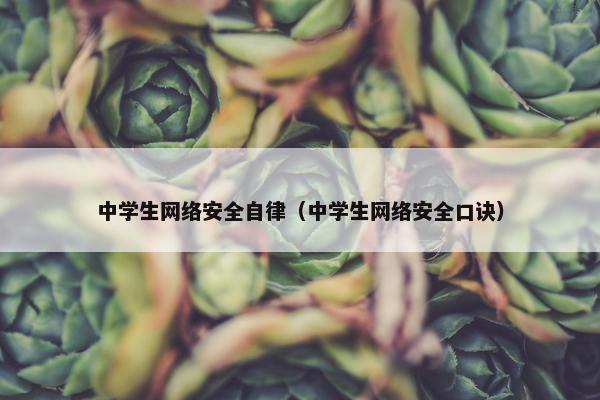 中学生网络安全自律（中学生网络安全口诀）