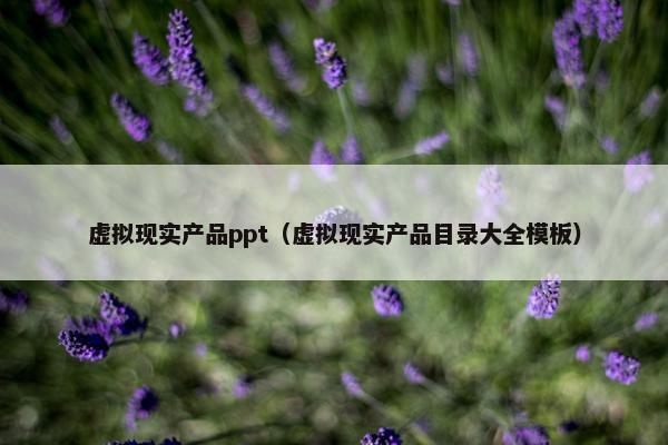 虚拟现实产品ppt（虚拟现实产品目录大全模板）