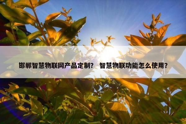 邯郸智慧物联网产品定制？ 智慧物联功能怎么使用？