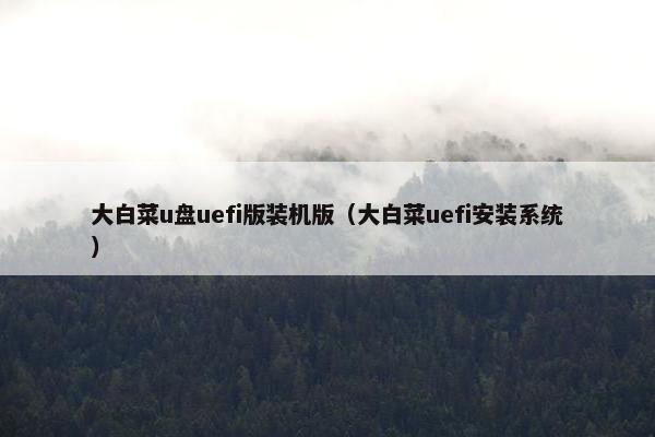 大白菜u盘uefi版装机版（大白菜uefi安装系统）