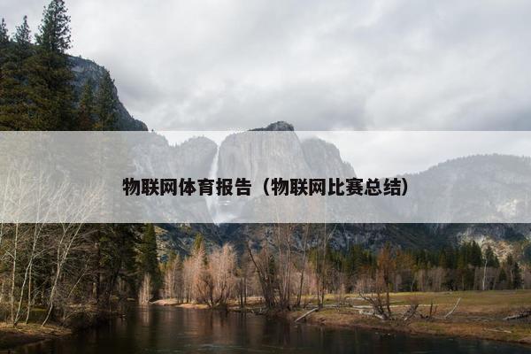 物联网体育报告（物联网比赛总结）