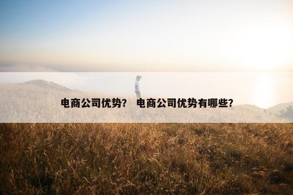 电商公司优势？ 电商公司优势有哪些？