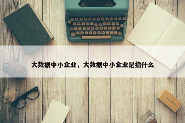 大数据中小企业，大数据中小企业是指什么