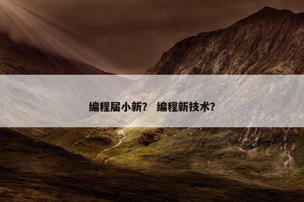 编程届小新？ 编程新技术？