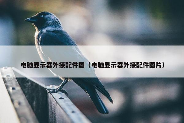 电脑显示器外接配件图（电脑显示器外接配件图片）