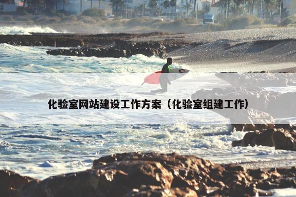 化验室网站建设工作方案（化验室组建工作）