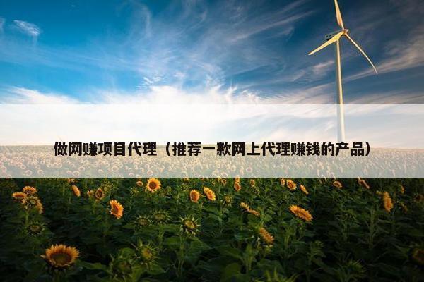做网赚项目代理（推荐一款网上代理赚钱的产品）
