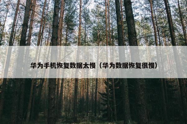 华为手机恢复数据太慢（华为数据恢复很慢）