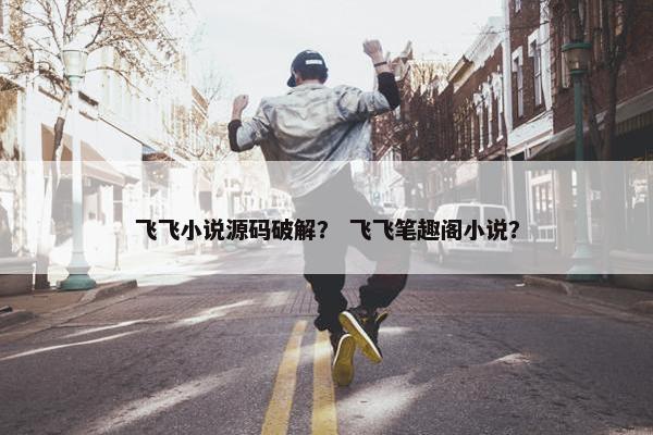 飞飞小说源码破解？ 飞飞笔趣阁小说？