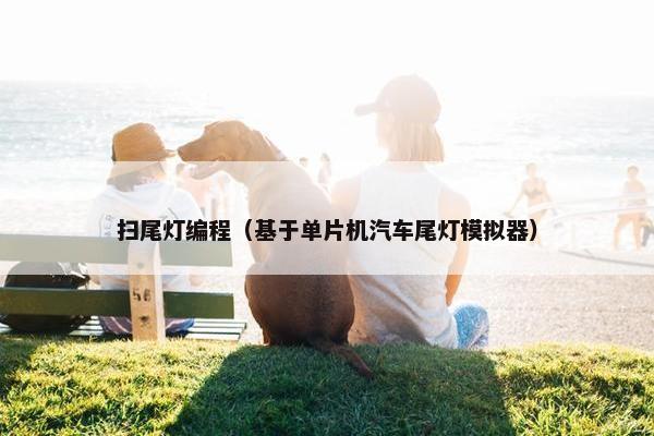 扫尾灯编程（基于单片机汽车尾灯模拟器）