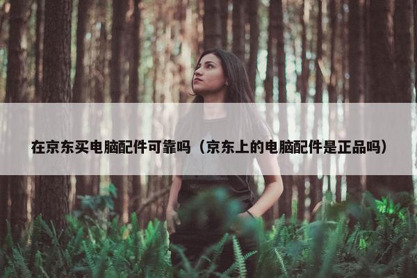 在京东买电脑配件可靠吗（京东上的电脑配件是正品吗）